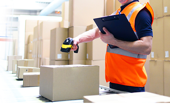 画像をアップロード